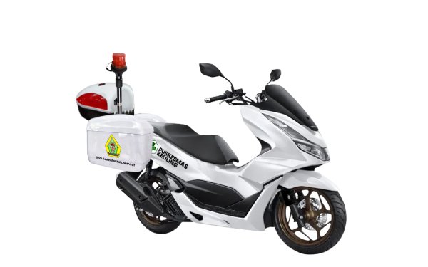 motor pusling-3