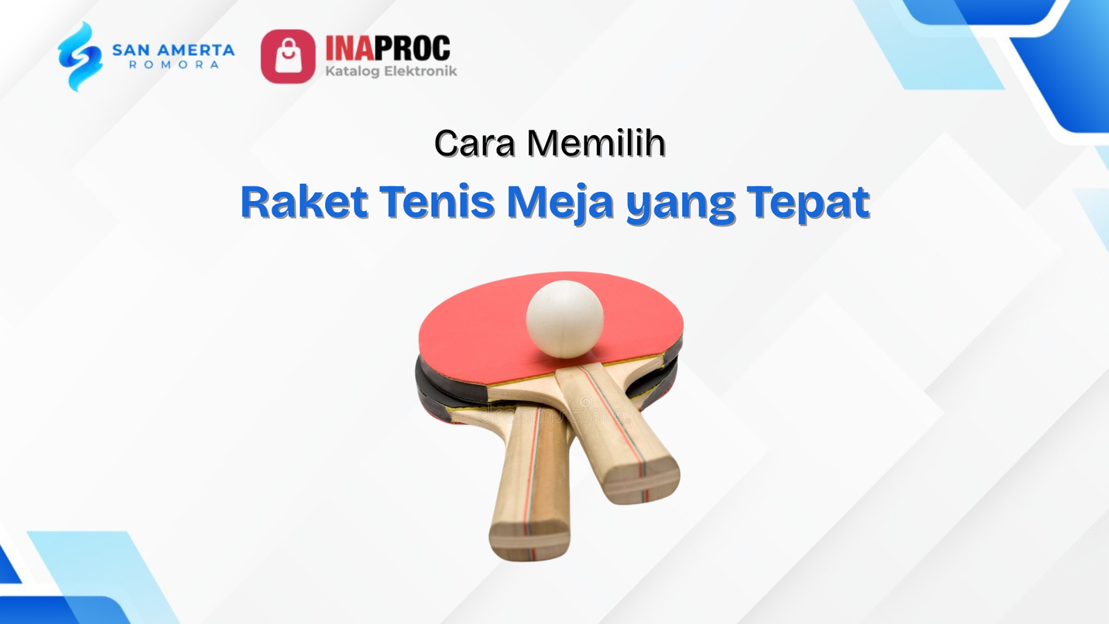 Raket Tenis Meja